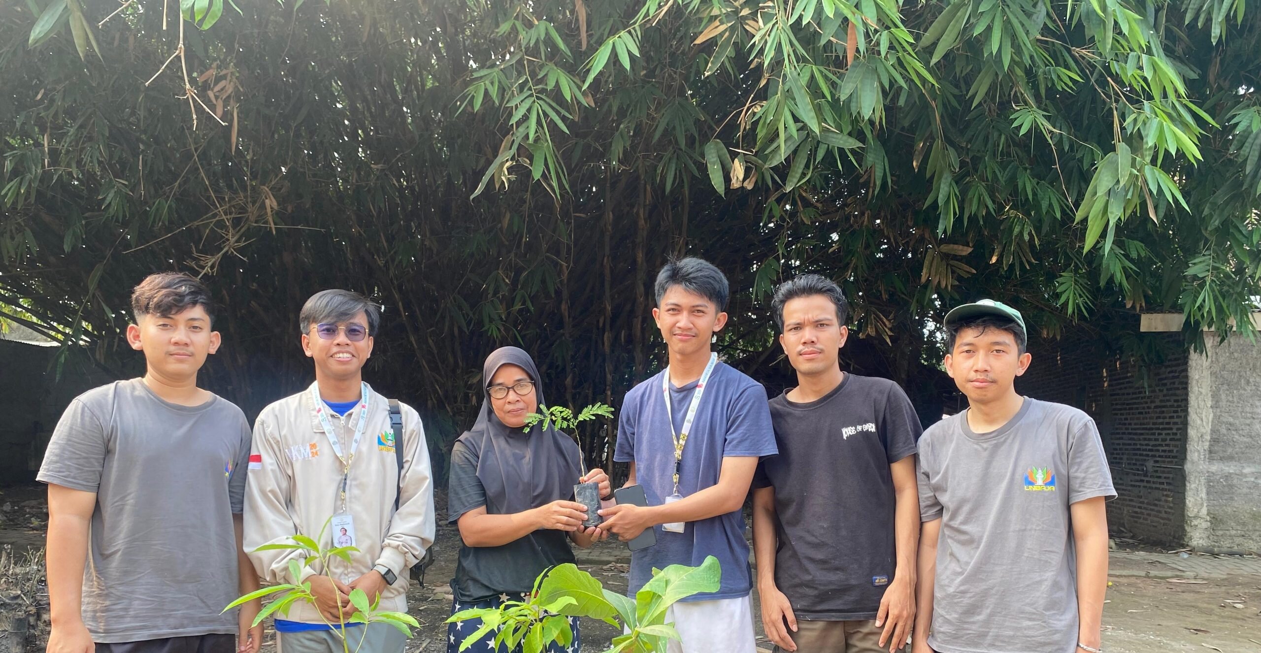 Proses Penyerahan Tanaman